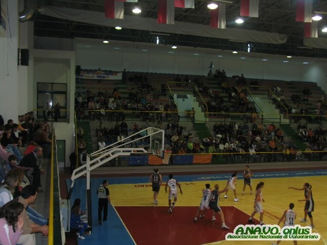 Basket 3_jpg